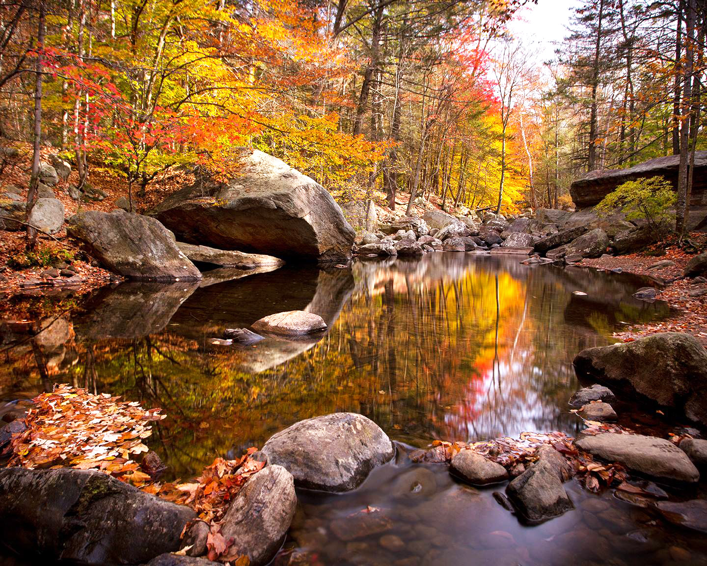 Autumn reflections along the Stony Brook Trail - Photo credit: Susan Magnano
