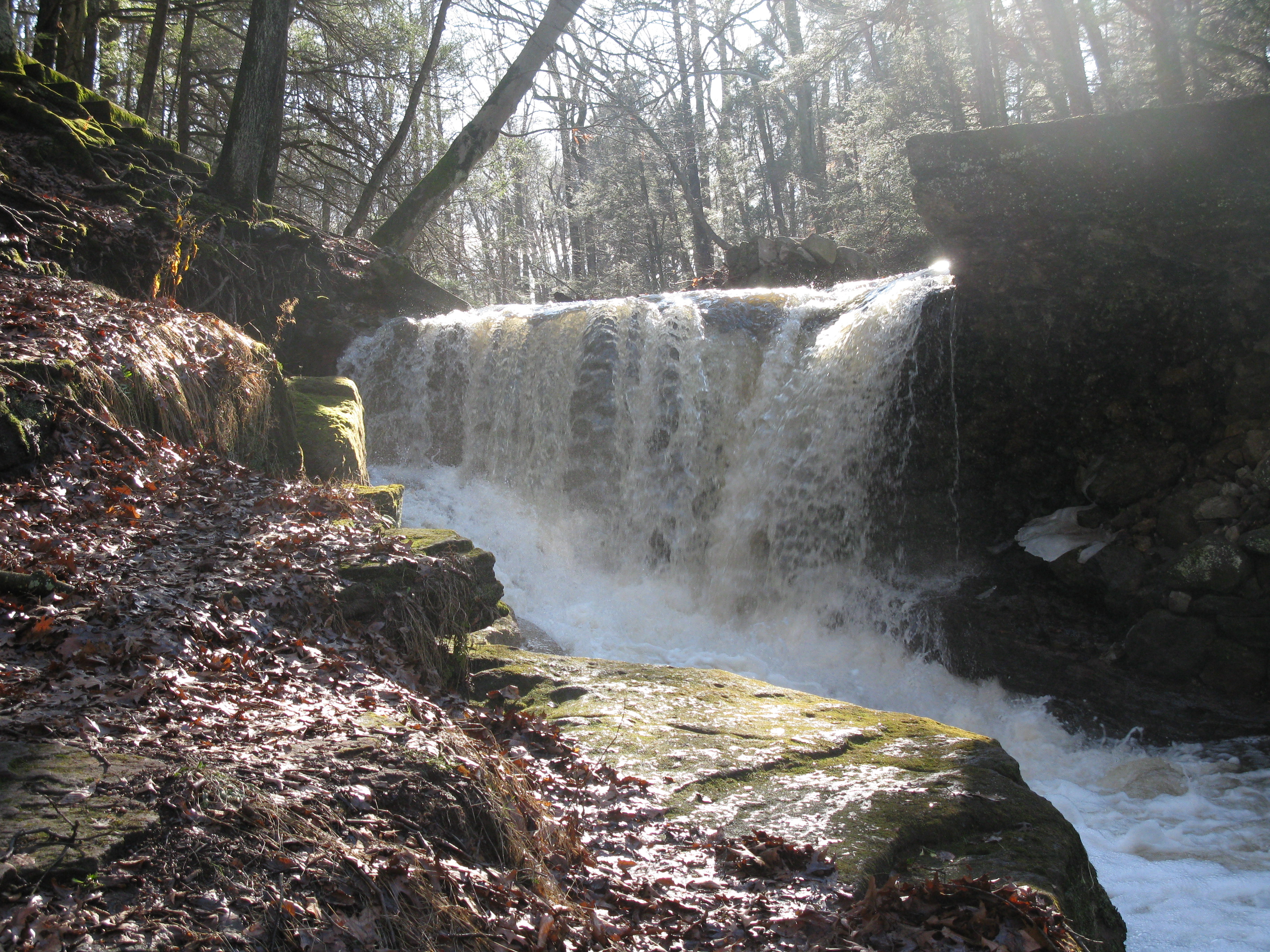 Crum Creek flowing over a breached dam - Photo credit: Daniel Chazin