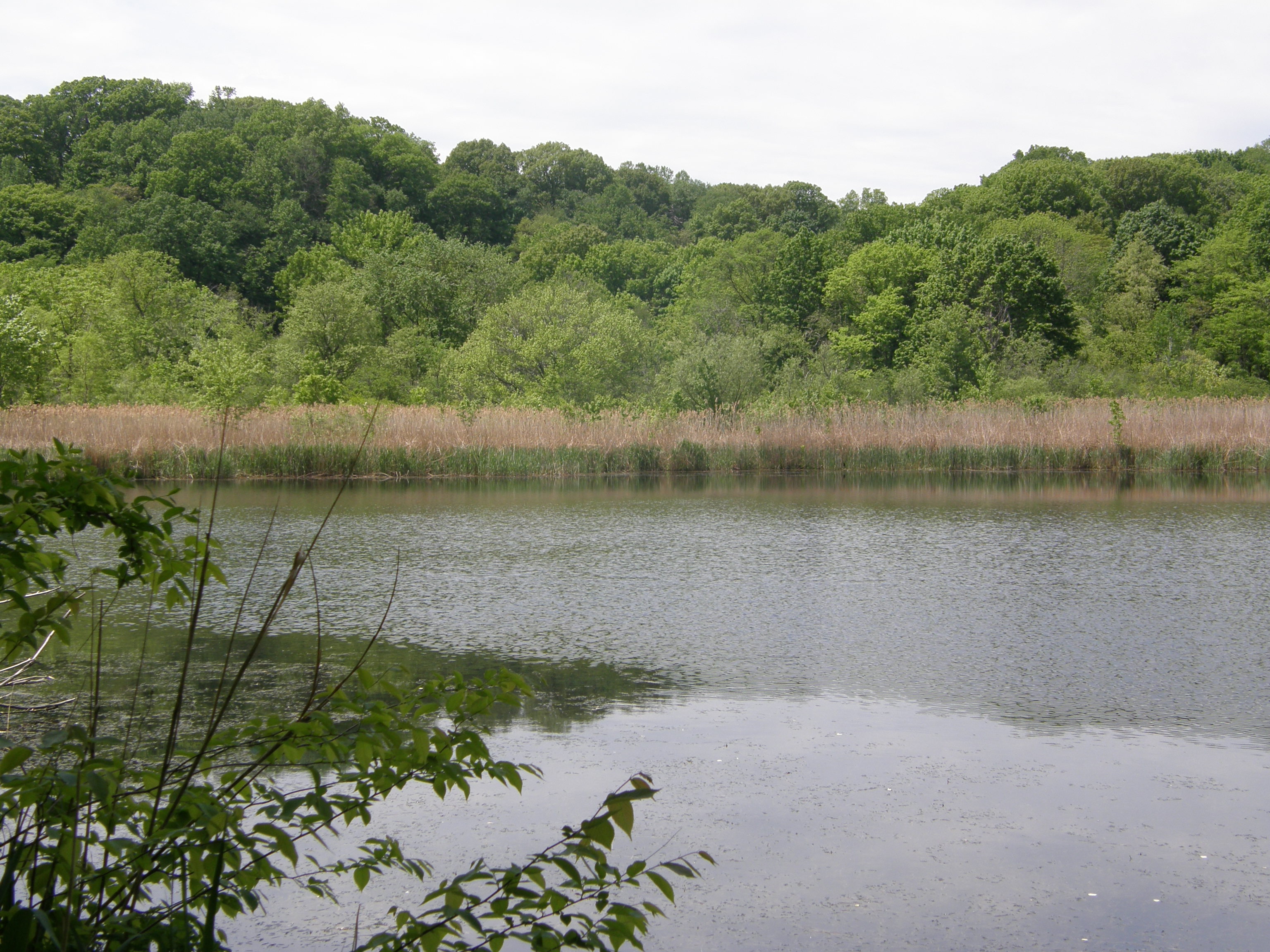 Lake Whoopee Photo:Jane Daniels