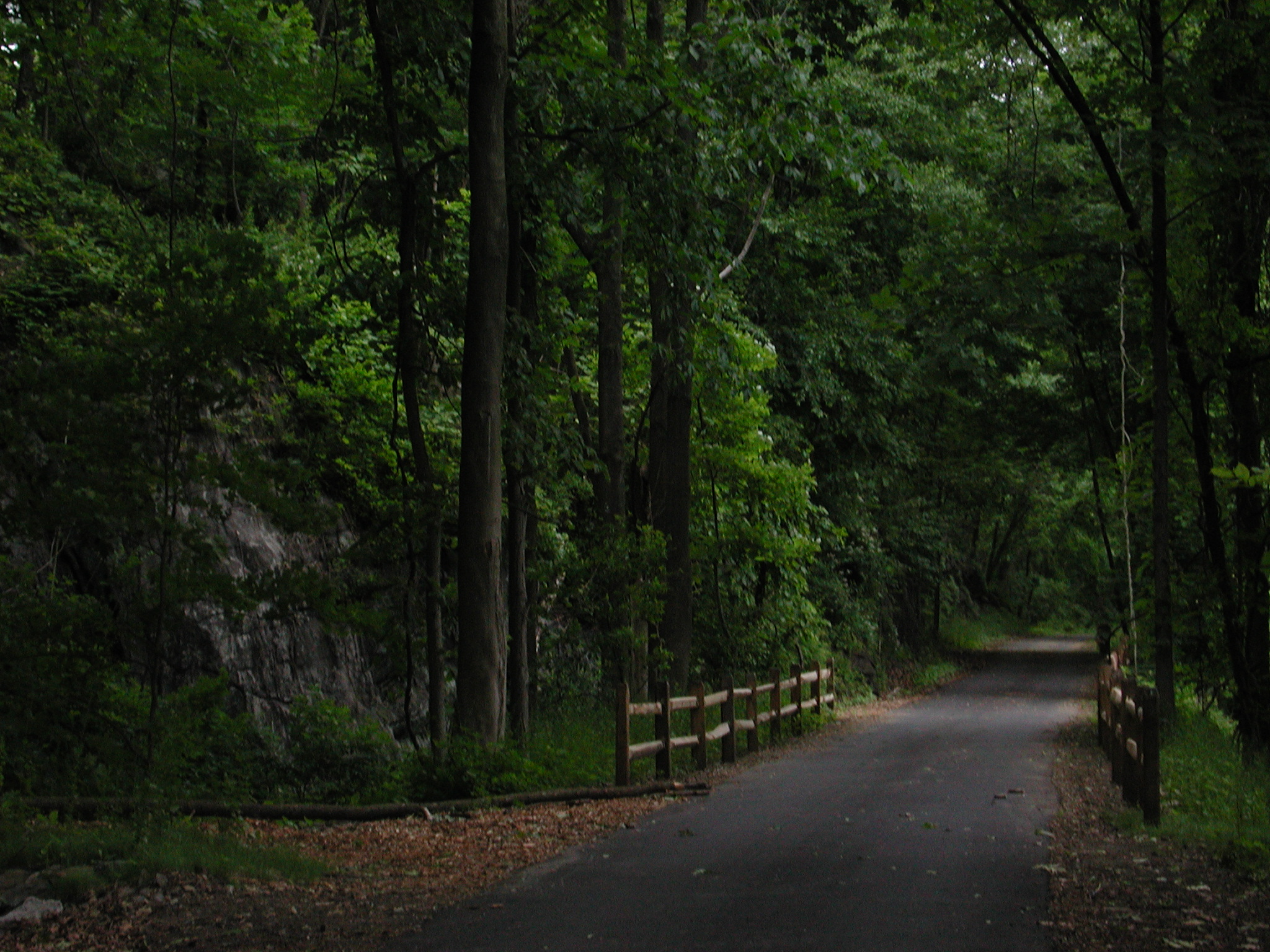 The former railbed of the "Old Put" line Photo: Jane Daniels