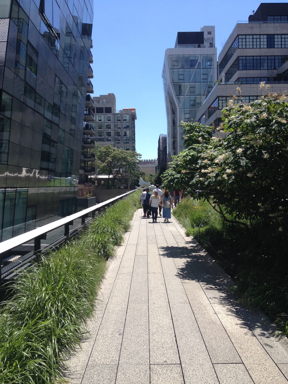 Walkway on the High Line elevated NYC Park - Photo Frank Fernandez
