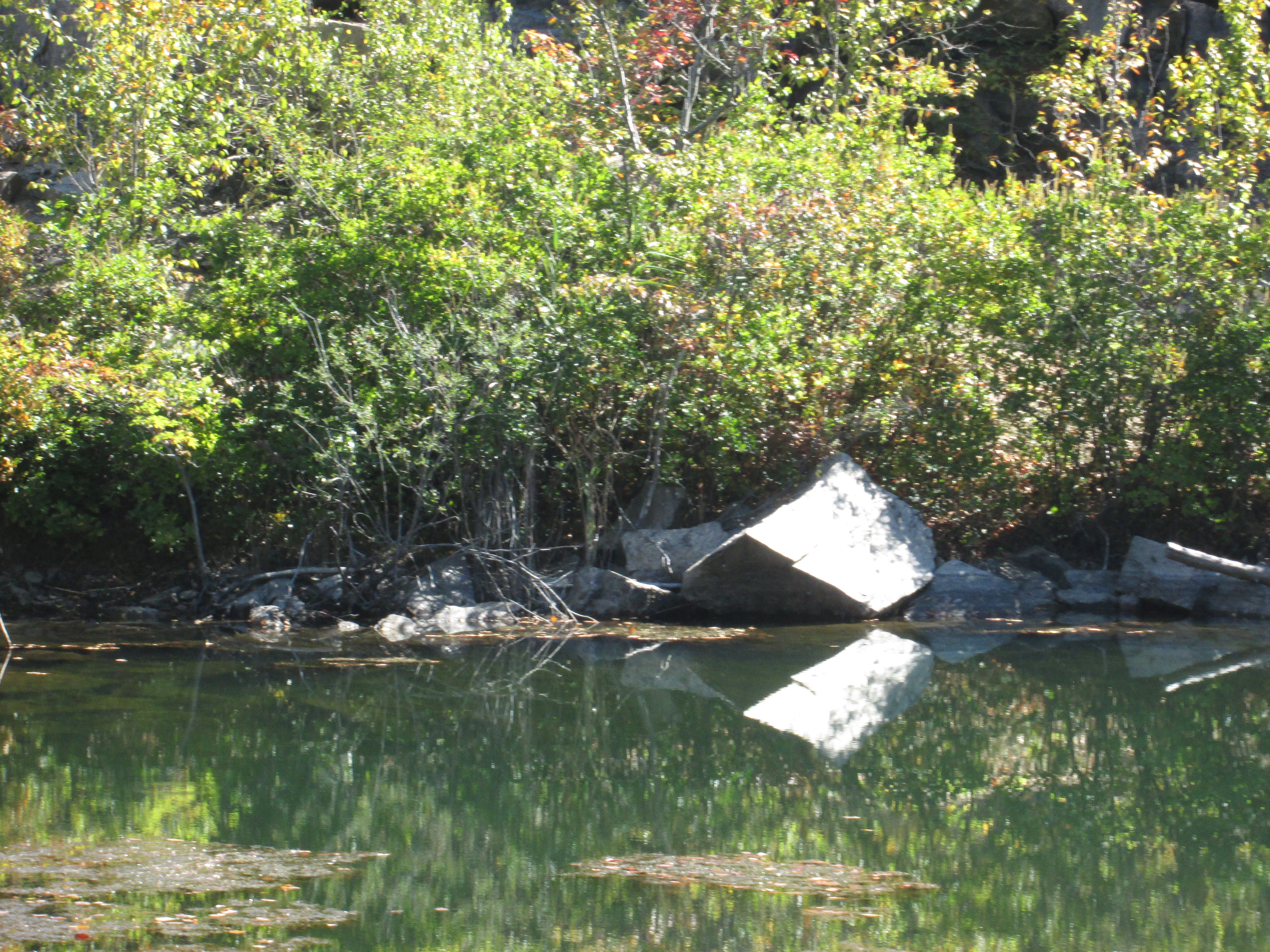 A small quarry Photo: Jane Daniels