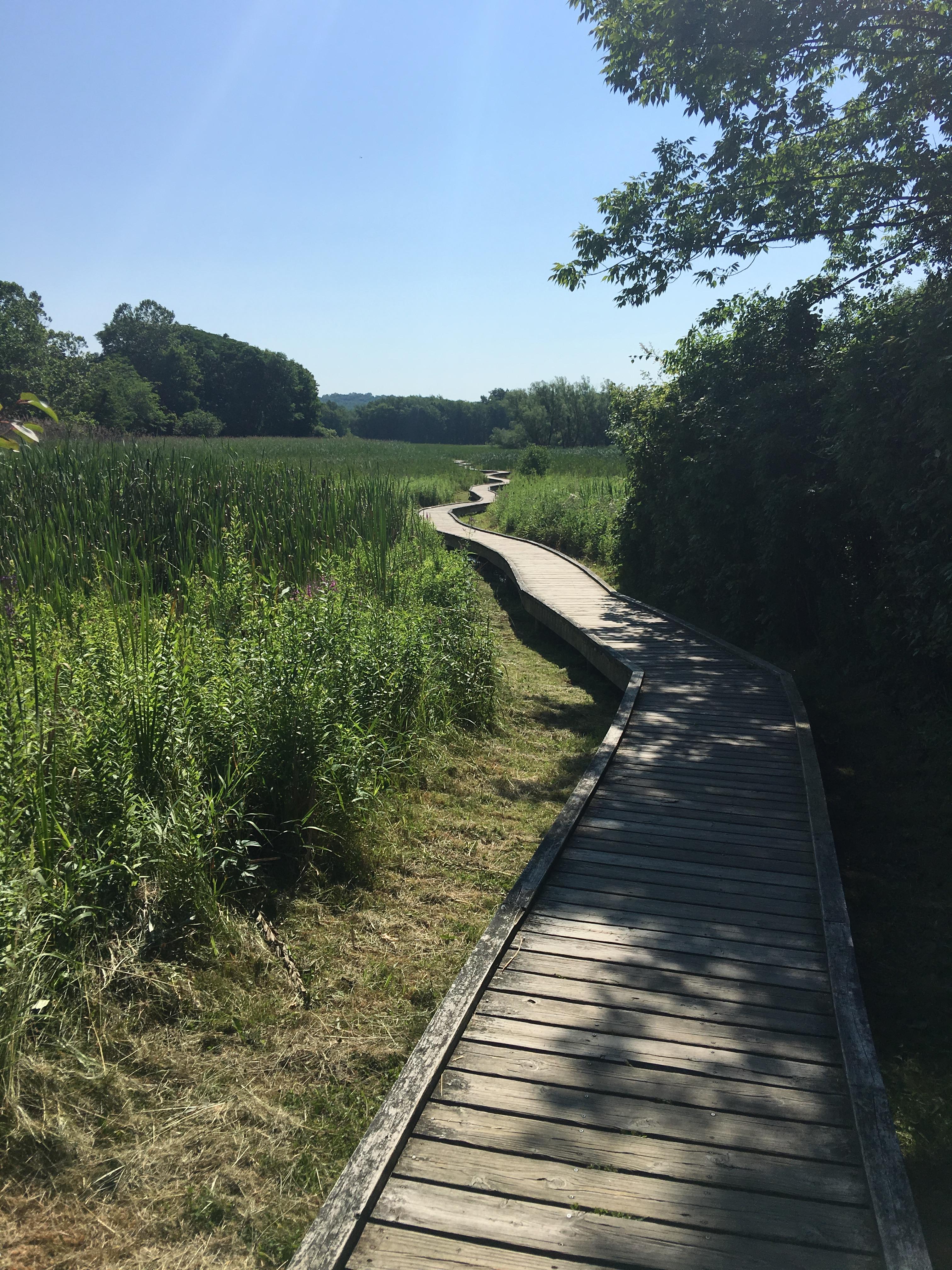 New Jersey Boardwalk on the Appalachian Trail - Photo Moe Lemire