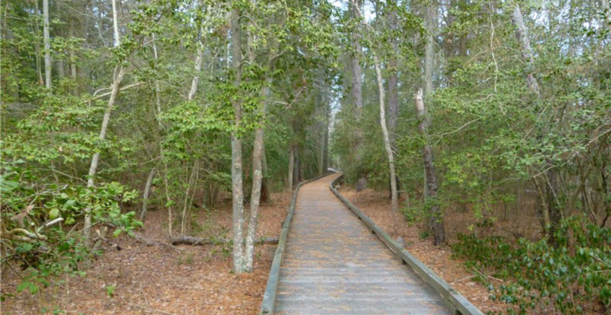 Boardwalk through Estell Manor Park - Photo credit: Daniela Wagstaff