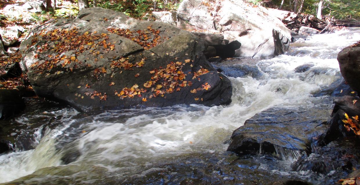 Cascades in the Black River - Photo by Daniel Chazin