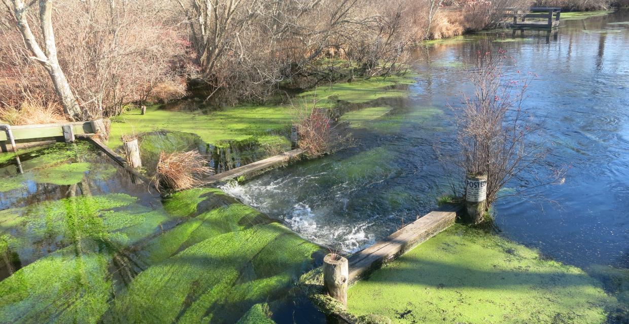 Small waterfall in the river just south of Bunces Bridge - Photo by Daniel Chazin