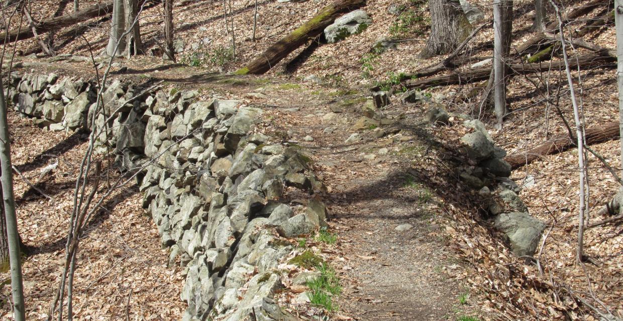 Old mine railbed followed by the A.T. - Photo by Daniel Chazin