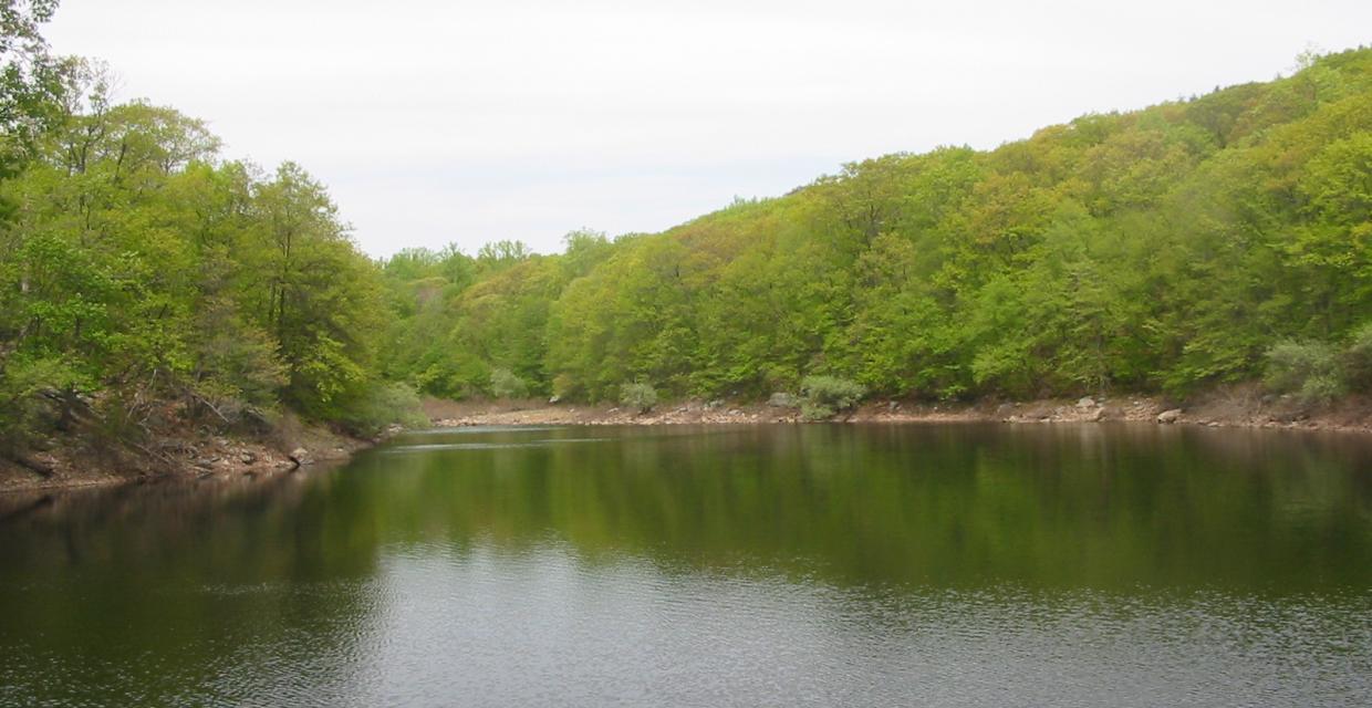 Weyble Pond - Photo by Daniel Chazin