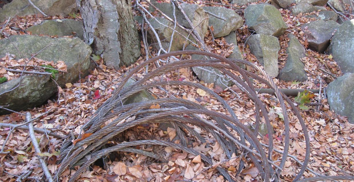 Discarded cables Photo: Jane Daniels