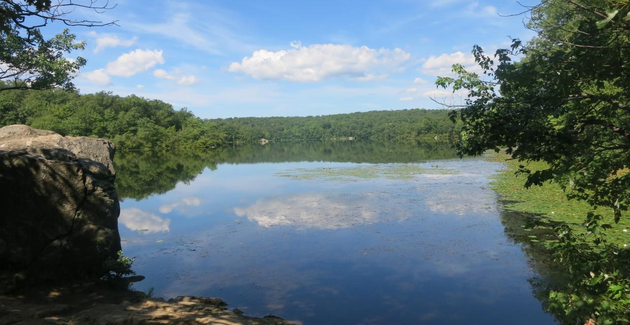 Ramapo Lake - Photo by Daniel Chazin