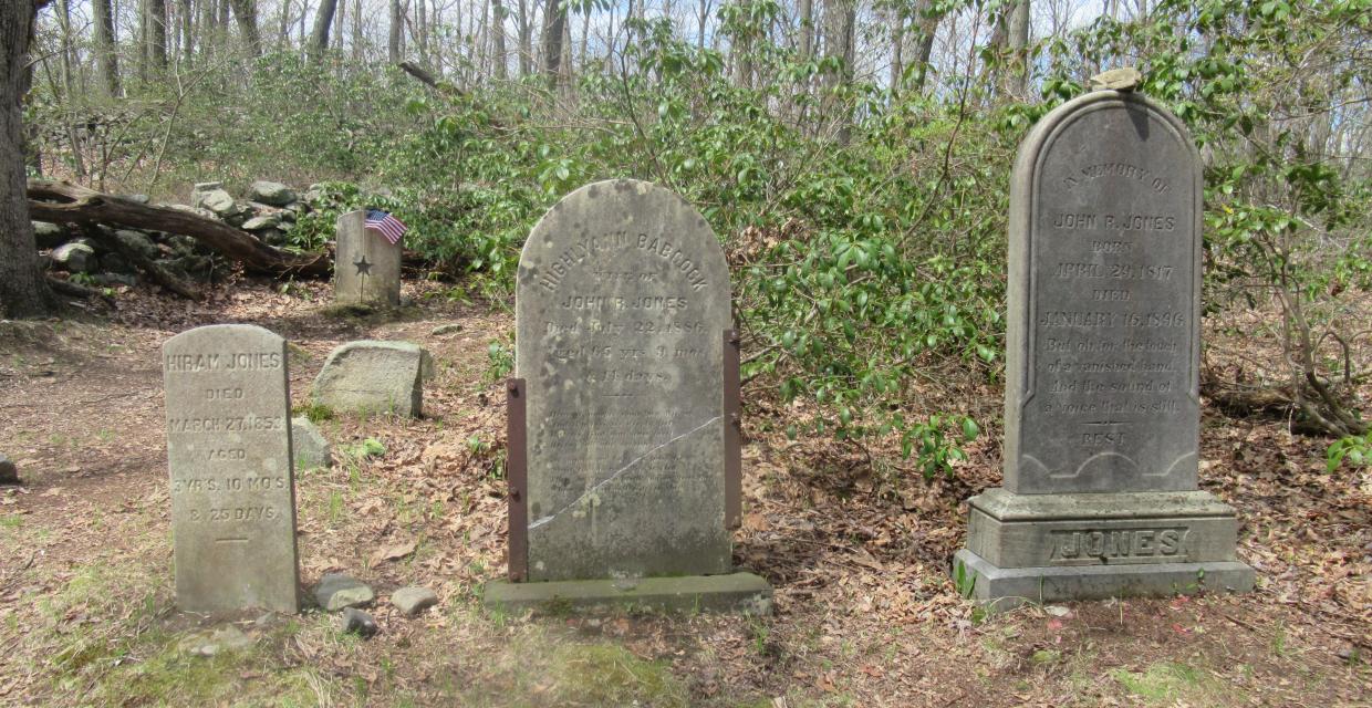 Cemetery on the Beech Trail - Photo by Daniel Chazin
