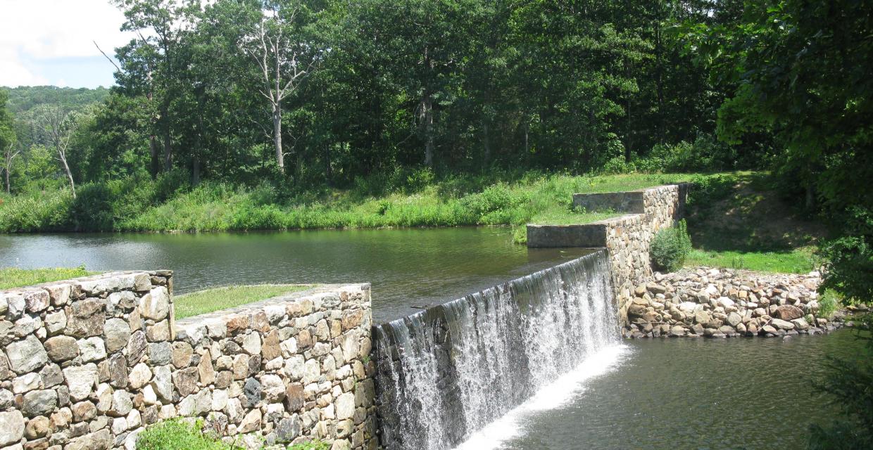 Dam at Sally's Pond - Photo by Daniel Chazin