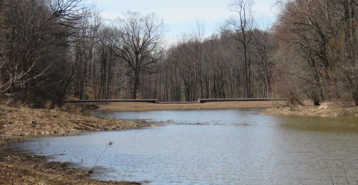 View of Surprise Lake at Watchung Reservation - Photo credit: Daniela Wagstaff