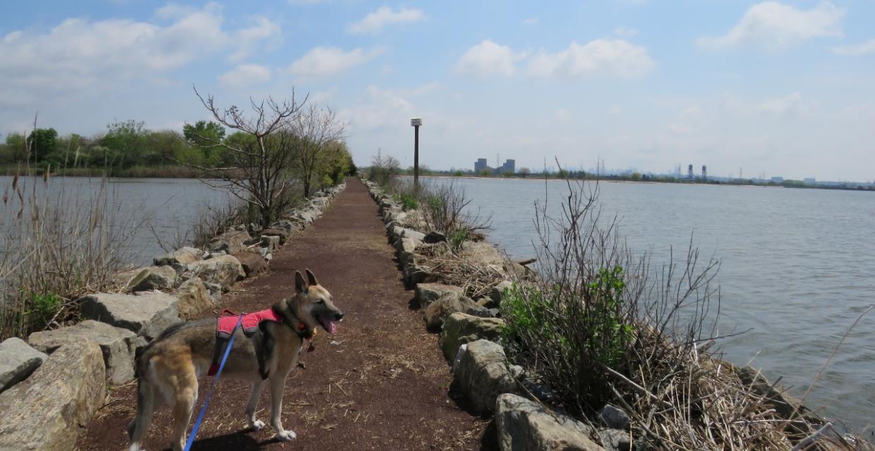 Views at DeKorte Park - Photo credit: Daniela Wagstaff