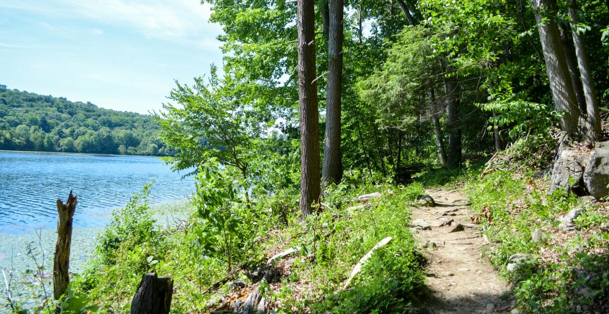 View along the Glacial Trail in Kittatinny Valley State Park - Photo credit: Jeremy Apgar
