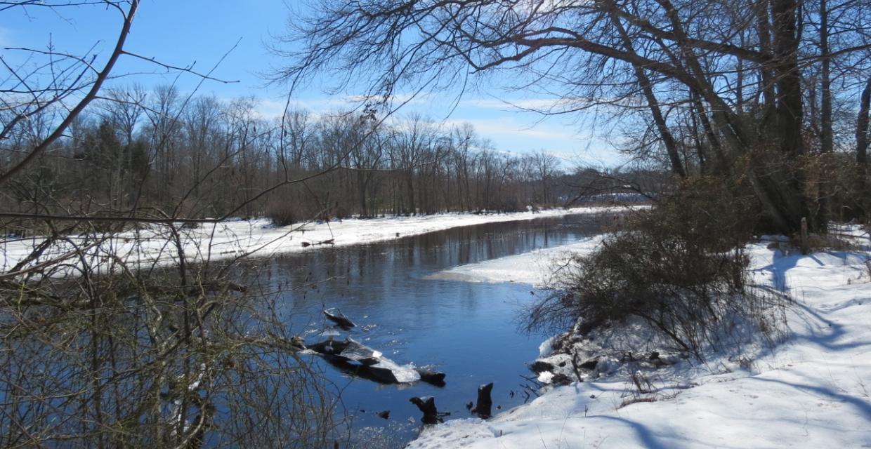 Along the Rancocas Creek in Rancocas State Park - Photo credit: Daniela Wagstaff