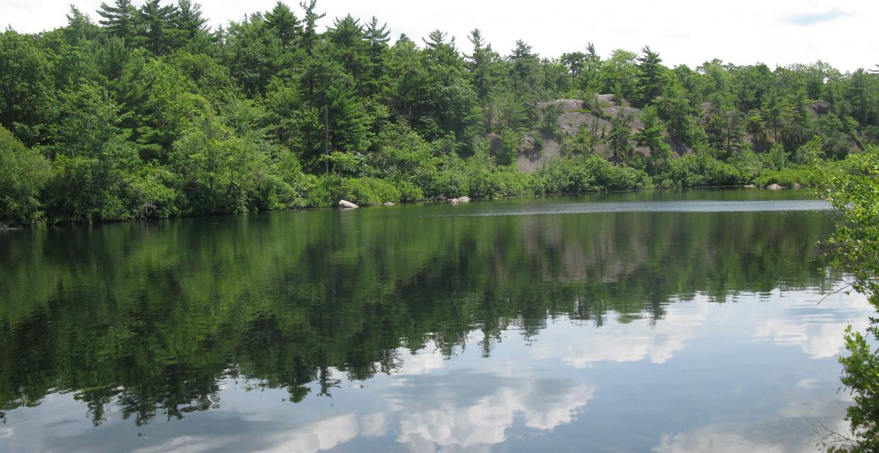View of Terrace Pond - Photo credit: Daniel Chazin