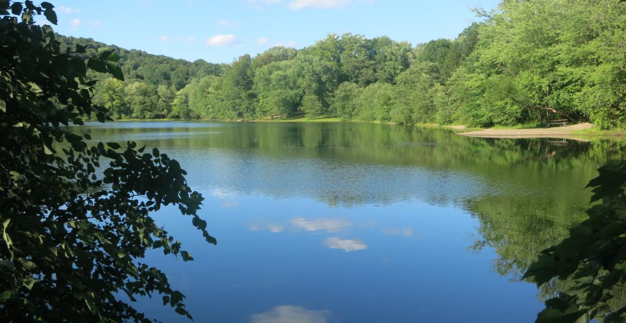 View of Scarlet Oak Pond Ramapo Valley Reservation - Photo credit: Daniel Chazin