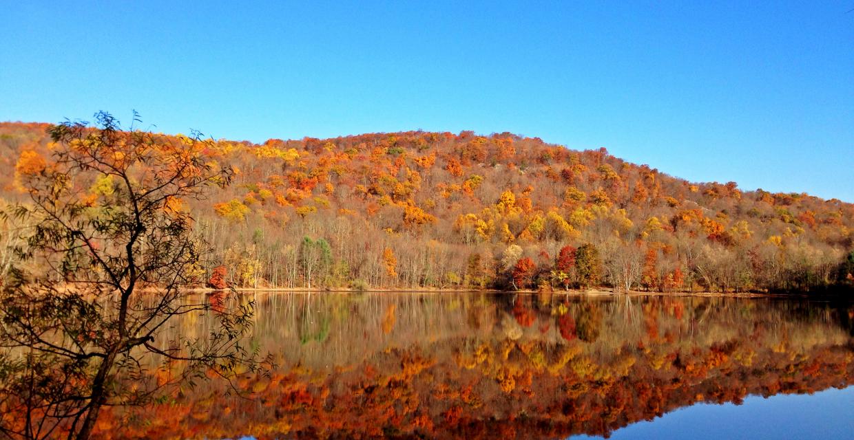 Scarlet Oak Pond - Ramapo Valley Reservation - Photo credit: Jeremy Apgar