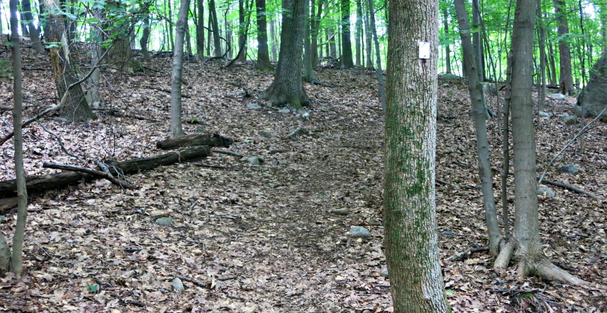 Along the Silver Trail - Photo credit: Daniel Chazin