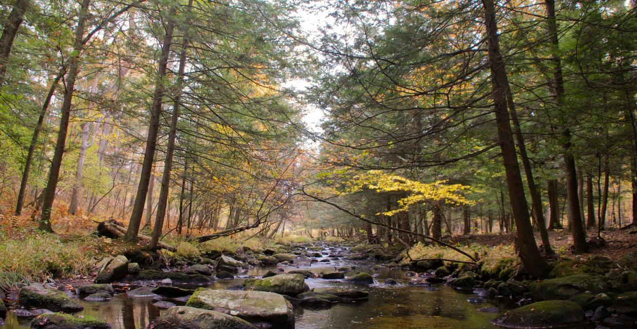 Big Flat Brook along the Blue Mountain Loop Trail - Photo credit: Jeremy Apgar