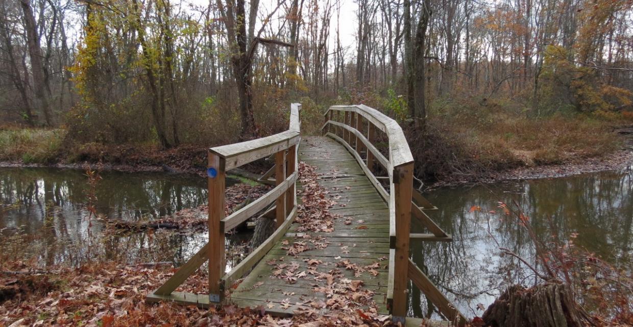 Bridge across Great Brook - Photo credit: Daniela Wagstaff