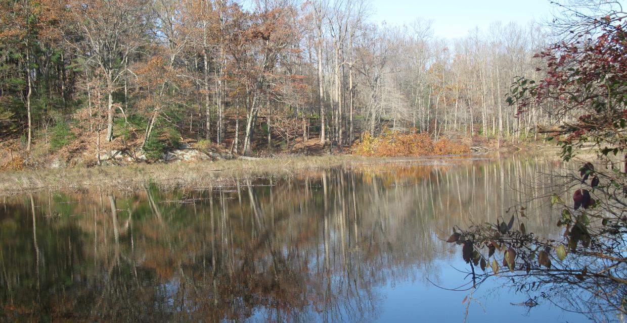 View of Kay Pond - Photo credit: Daniel Chazin