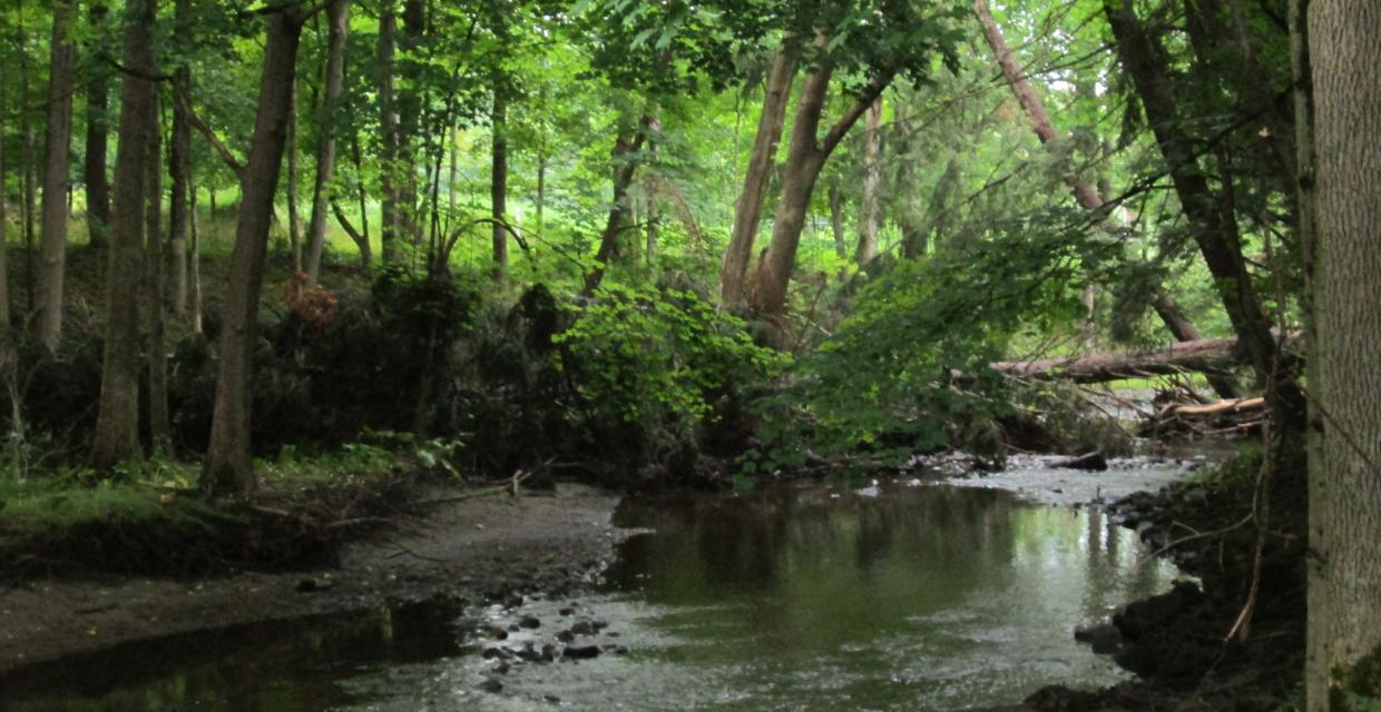 View from the bridge over Hunter Brook Photo: Jane Daniels