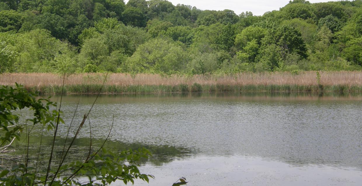 Lake Whoopee Photo:Jane Daniels