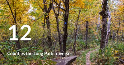 View from the Long Path on the Windham High Peak. Photo by Steve Aaron.