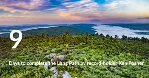 View from the firetower in Shawangunk Ridge State Forest. Photo by Steve Aaron.