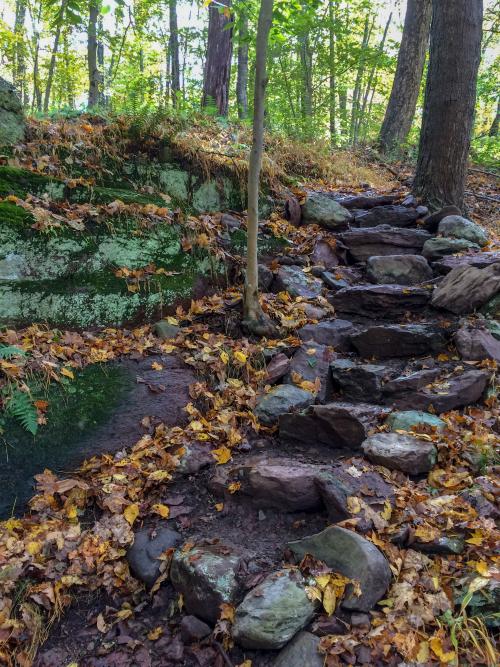 Rock Cores Trail in Worthington State Forest.