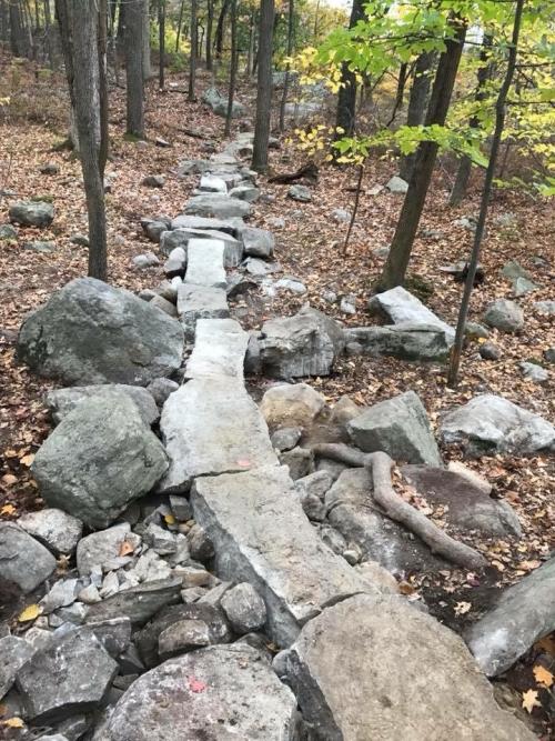 Rock bridge in Sterling Forest State Park. Photo by Samantha Hirt.