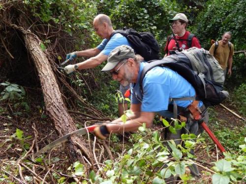 Hand sawing a fallen log in the trail