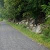 Long Path/Hook Mountain Bike Path Loop to Summit of Hook Mountain - Photo by Daniel Chazin
