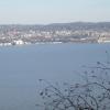 View across the Hudson River from the Long Path - Photo by Daniel Chazin
