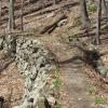 Old mine railbed followed by the A.T. - Photo by Daniel Chazin