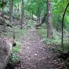 Long Path/Hook Mountain Bike Path Loop to Summit of Hook Mountain - Photo by Daniel Chazin