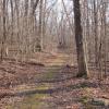 Manor Trail in Ringwood State Park. Photo by Daniel Chazin.