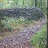 Watchung Basalt Rock along the Lenape Trail - Eagle Rock Reservation - Photo credit: Daniel Chazin