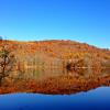 Scarlet Oak Pond - Ramapo Valley Reservation - Photo credit: Jeremy Apgar