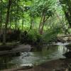 View from the bridge over Hunter Brook Photo: Jane Daniels