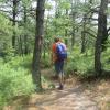 Along the Batona Trail - Photo by Daniel Chazin
