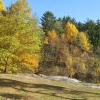 Fall colors Photo: Jane Daniels