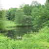 Pond at Marsh Memorial Sanctuary  Photo: Jane Daniels
