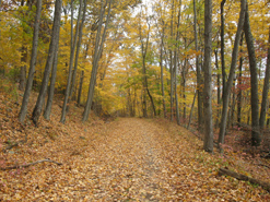 Cannonball Trail. Photo by Daniel Chazin.