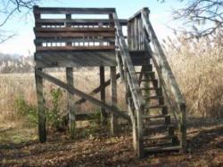 East Observation Platform. Photo by Daniel Chazin.