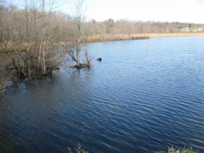 Lake Appert from the south. Photo by Daniel Chazin.
