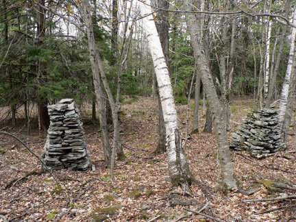 LP-Schoharie-Greene